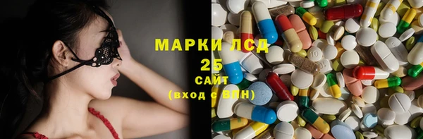 спиды Пересвет
