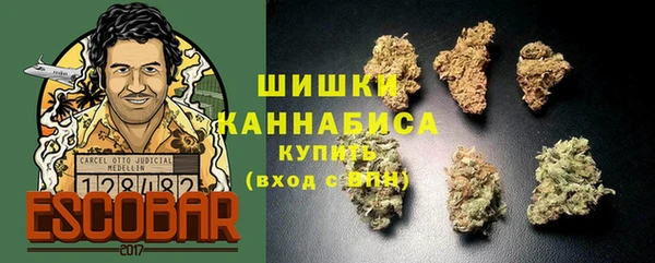 спиды Пересвет