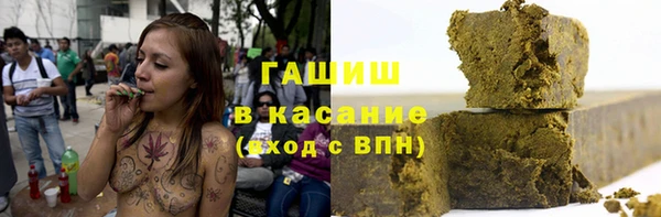хмурый Болотное