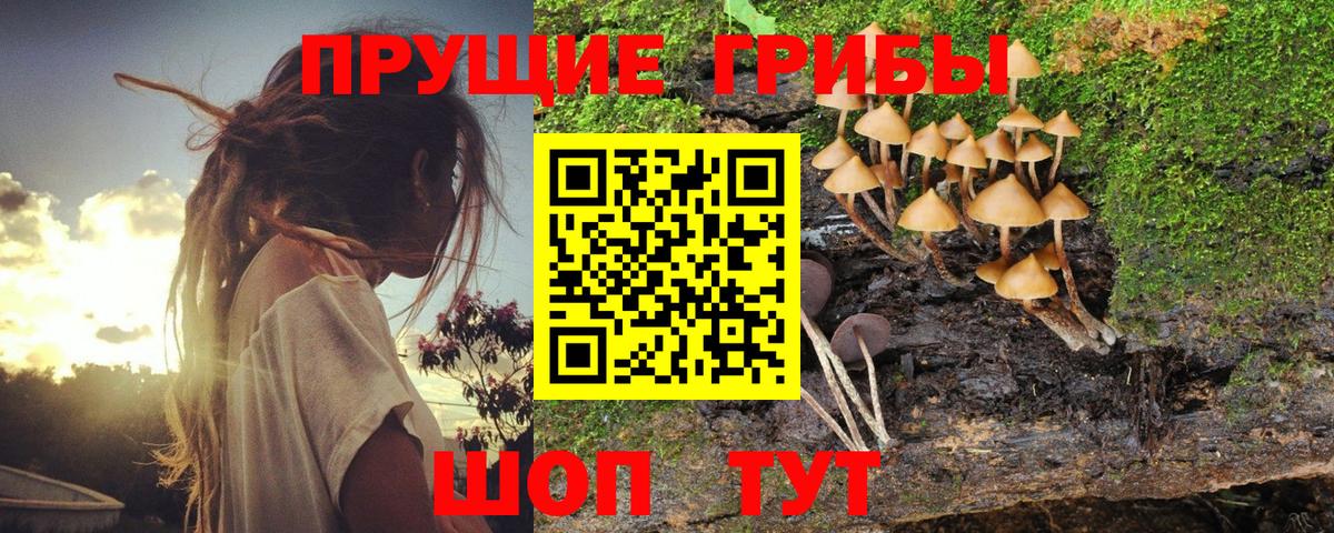 Кудымкар  Галлюциногенные грибы мицелий  Вход с VPN 