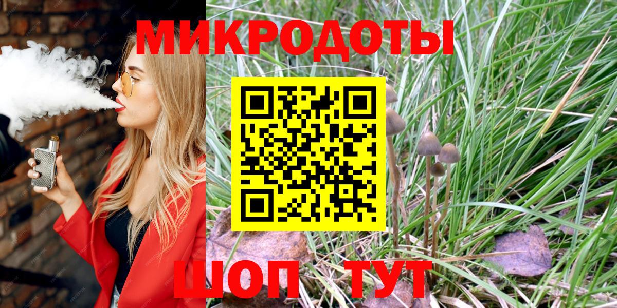 Псилоцибиновые грибы Psilocybe Кудымкар